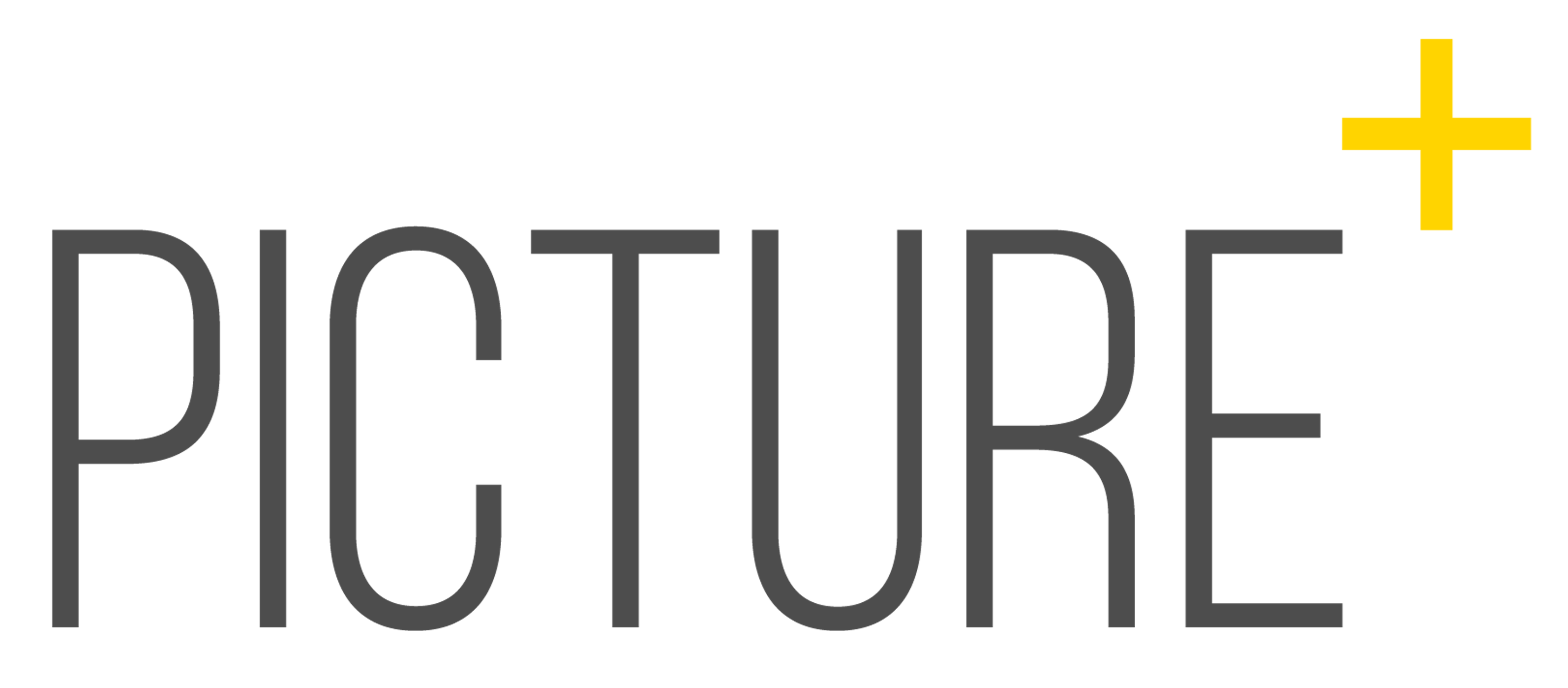 Picture+ Logo